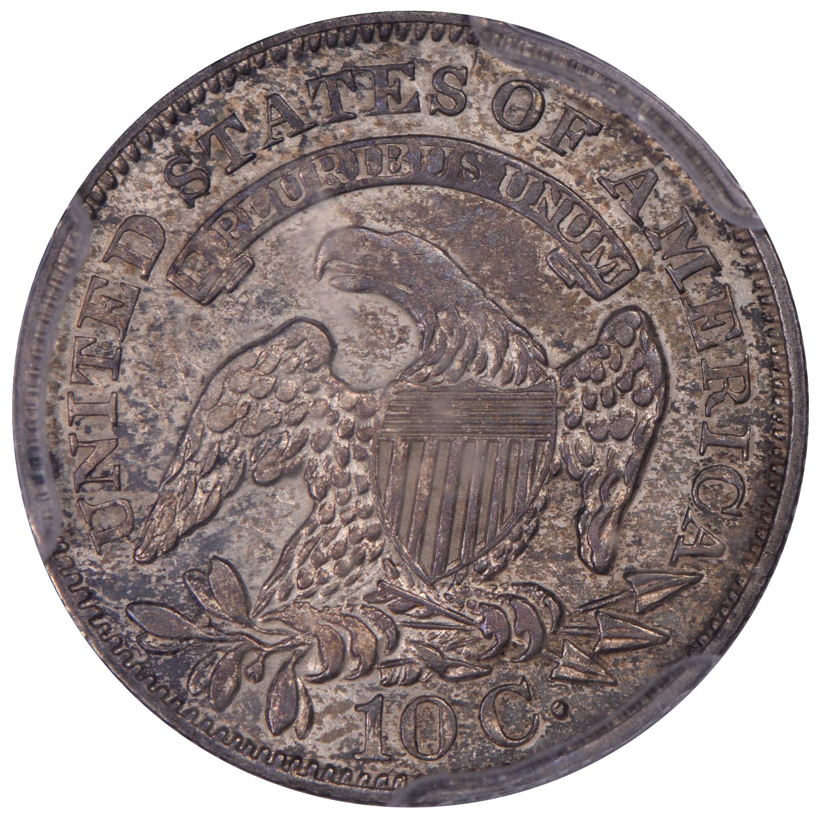 1828 JR-2 P53CG 24878834 Reverse
