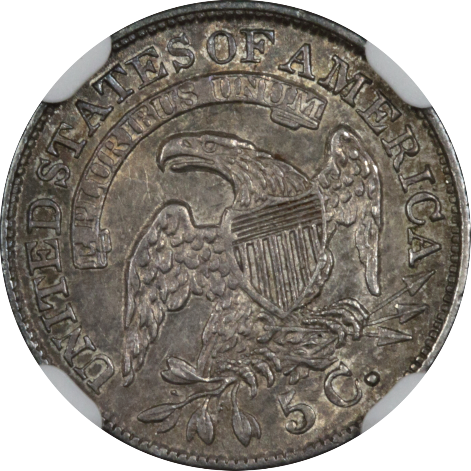 1833 LM-3.1 MS62 NGC-CAC Plate Coin Reverse