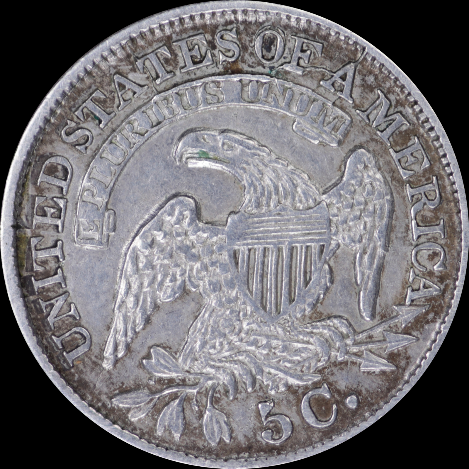 1833 LM-4.3 AU50 Details Cleaned PCGS 52028686 Reverse