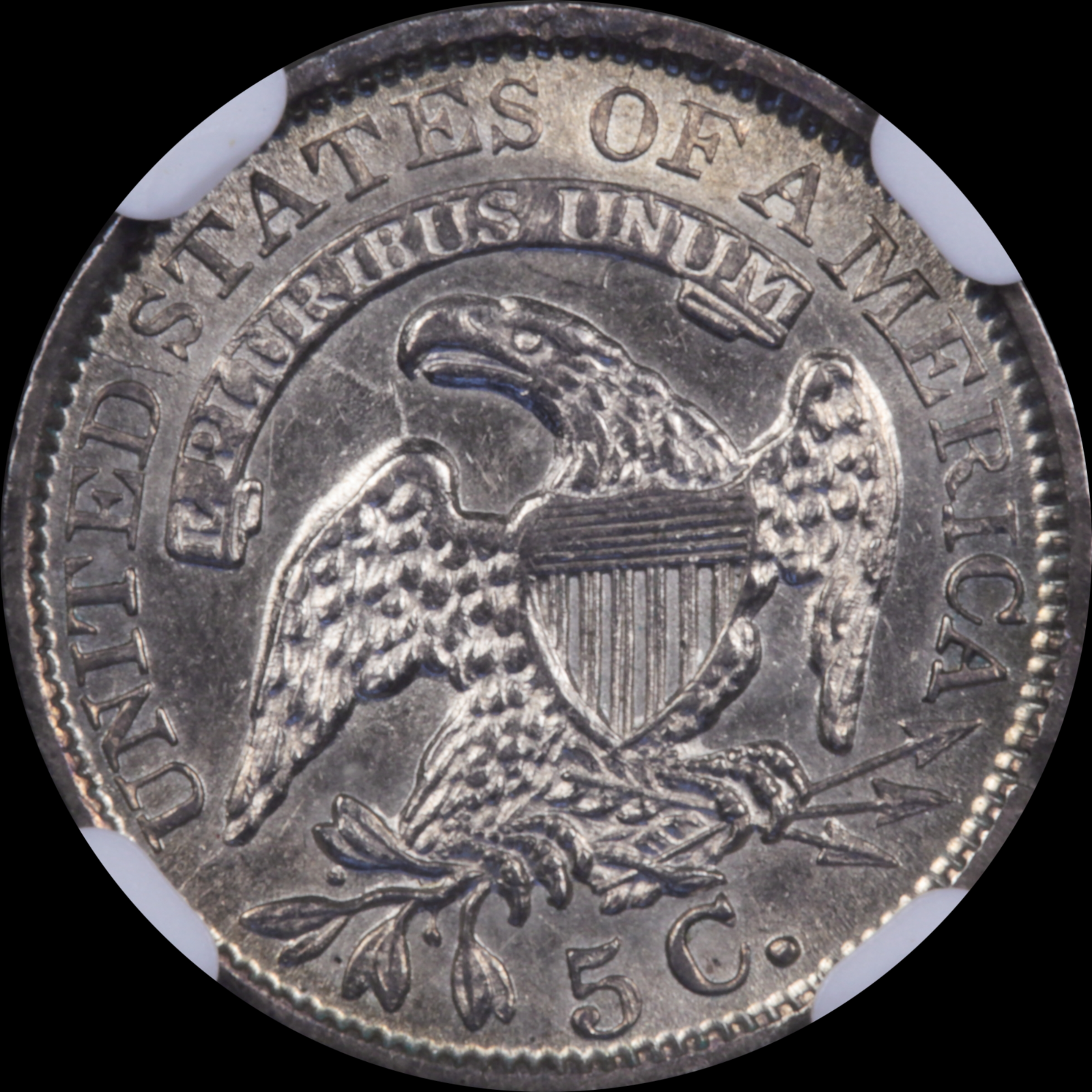 1835 LM-8.2 AU50 Plate Coin Details Bent NGC 6516212-029 Reverse