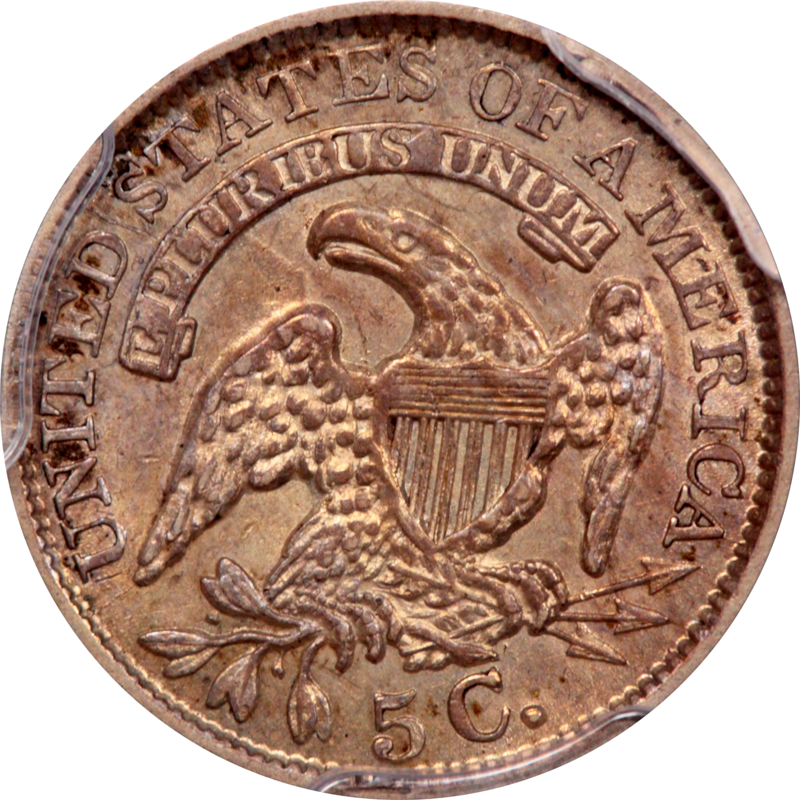 1835 LM-8.2 AU55 PCGS-CAC 7442397 Reverse