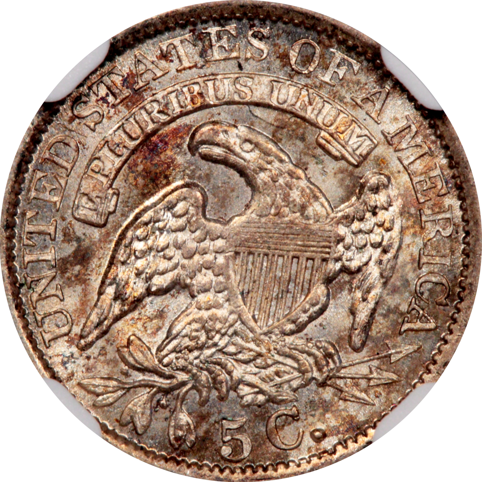 1835 LM-9.1 MS65 PCGS 43565405 Reverse