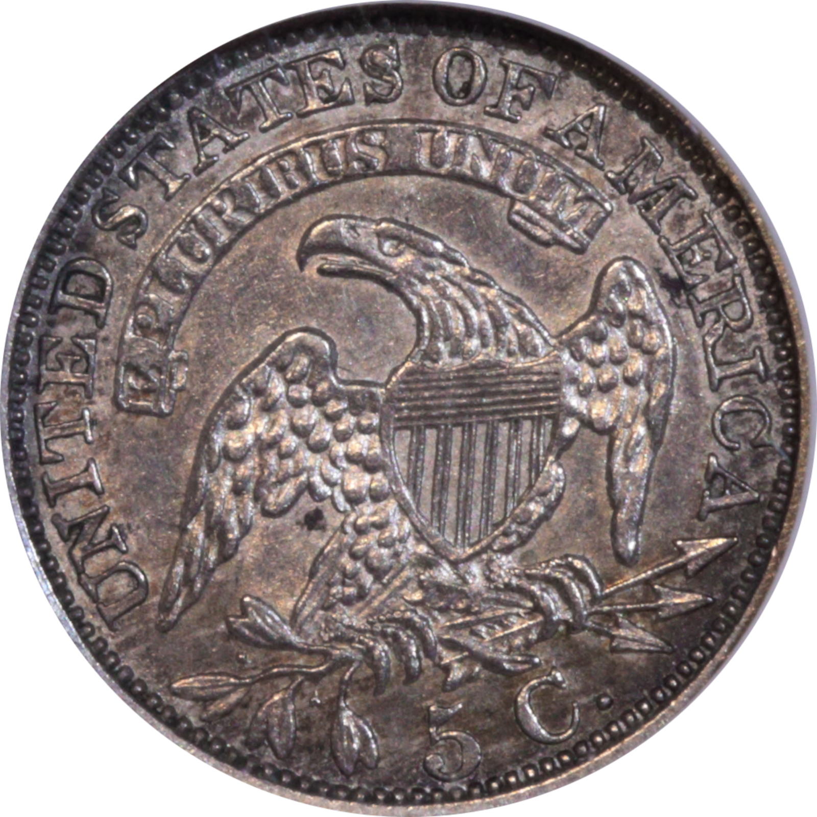 1829 LM-8 MS61 NGC Plate Coin Reverse
