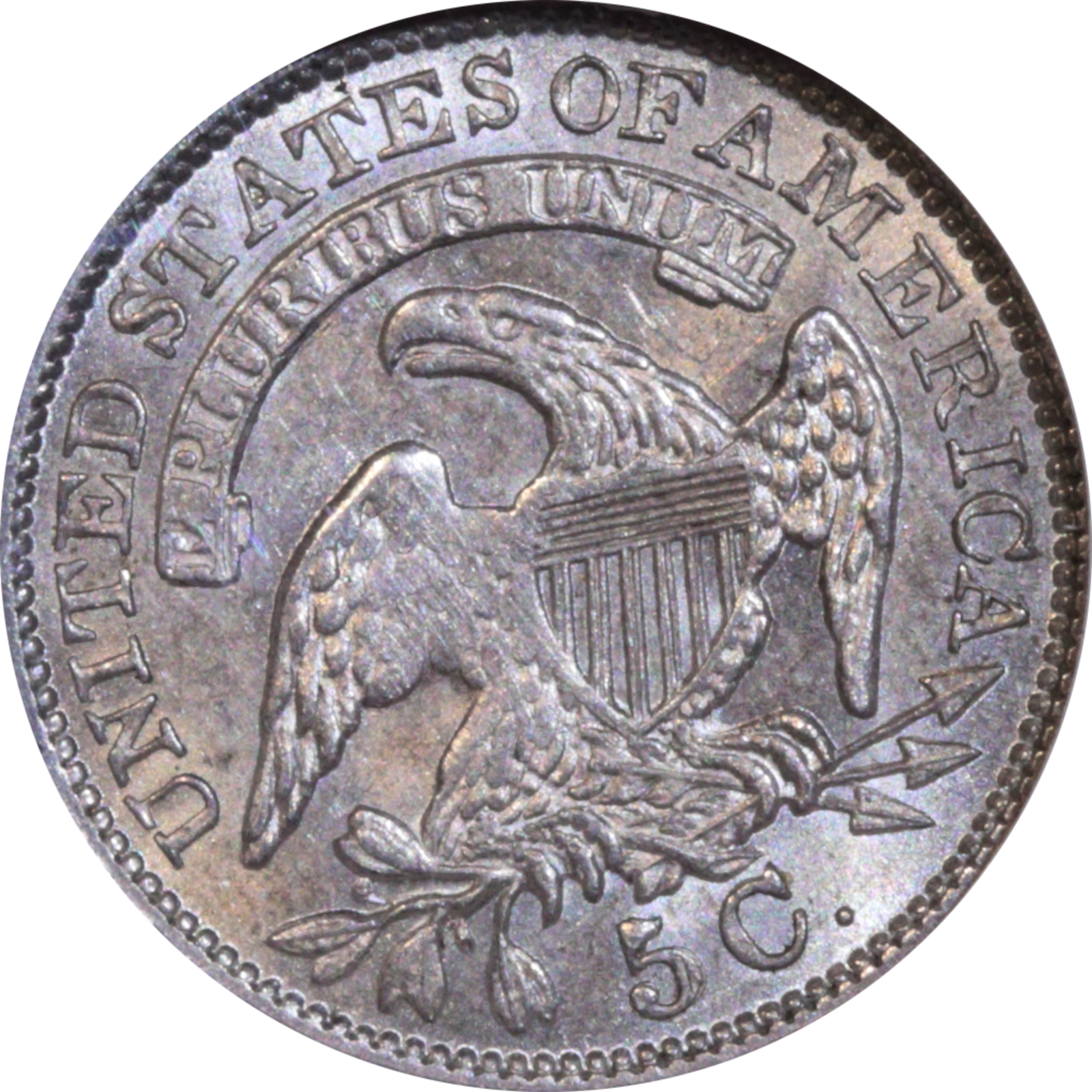 1830 LM-5 AU58 NGC Plate Coin Reverse