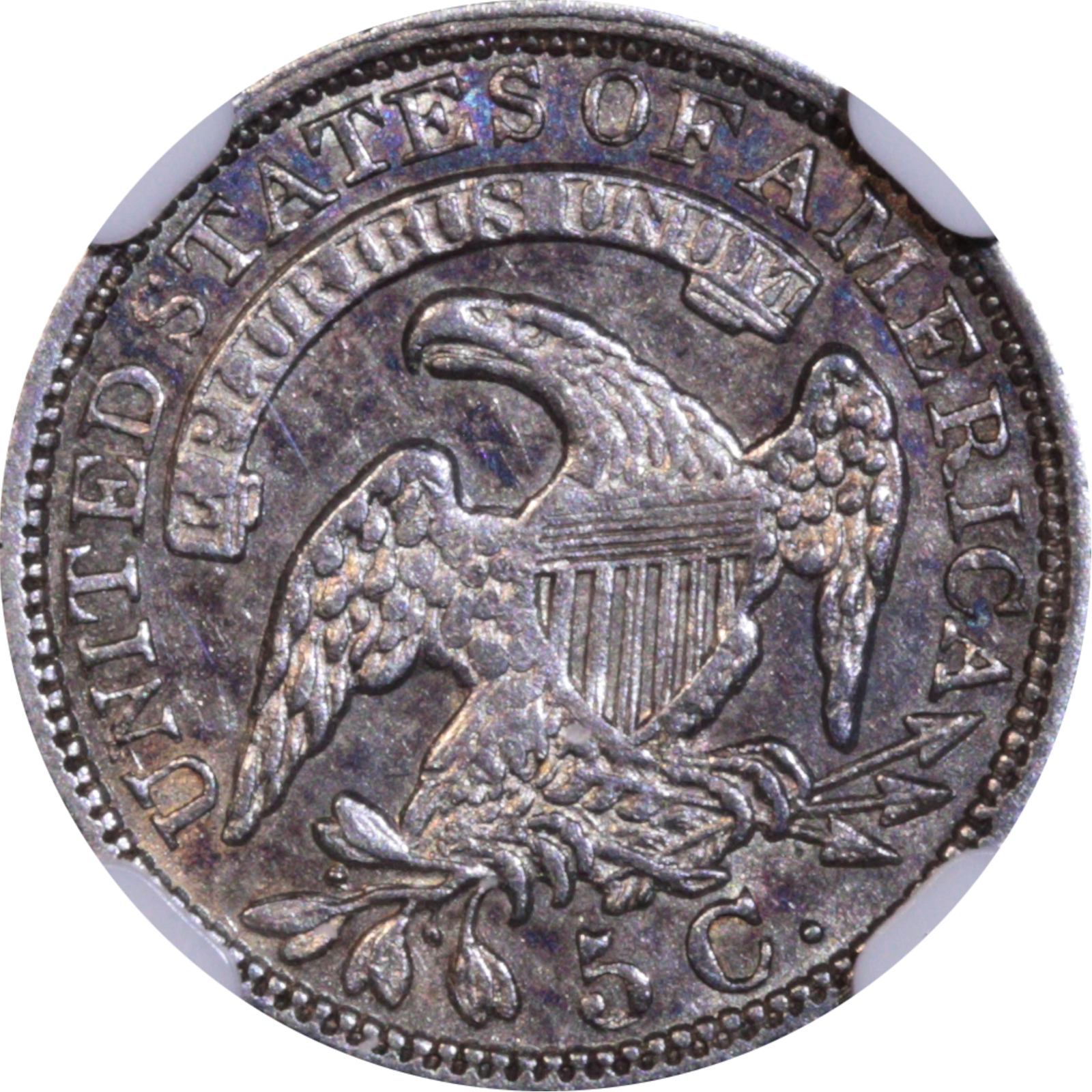 1831 LM-1.1 AU Details NGC Reverse