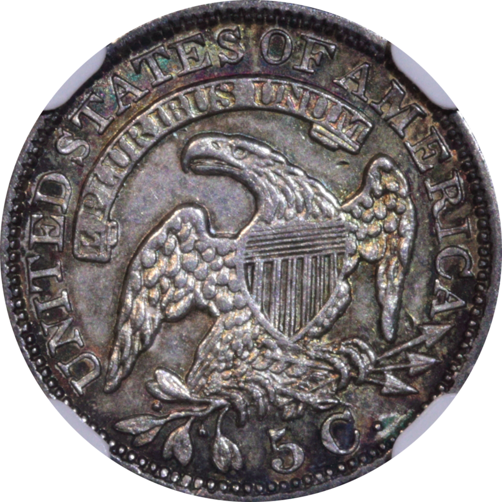 1831 LM-1.2 MS61 NGC Reverse