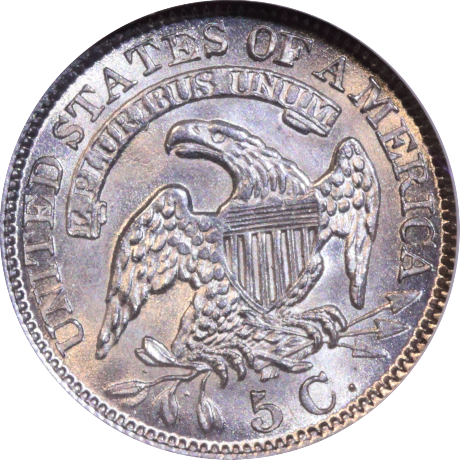 1831 LM-4 MS63 NGC Plate Coin Reverse
