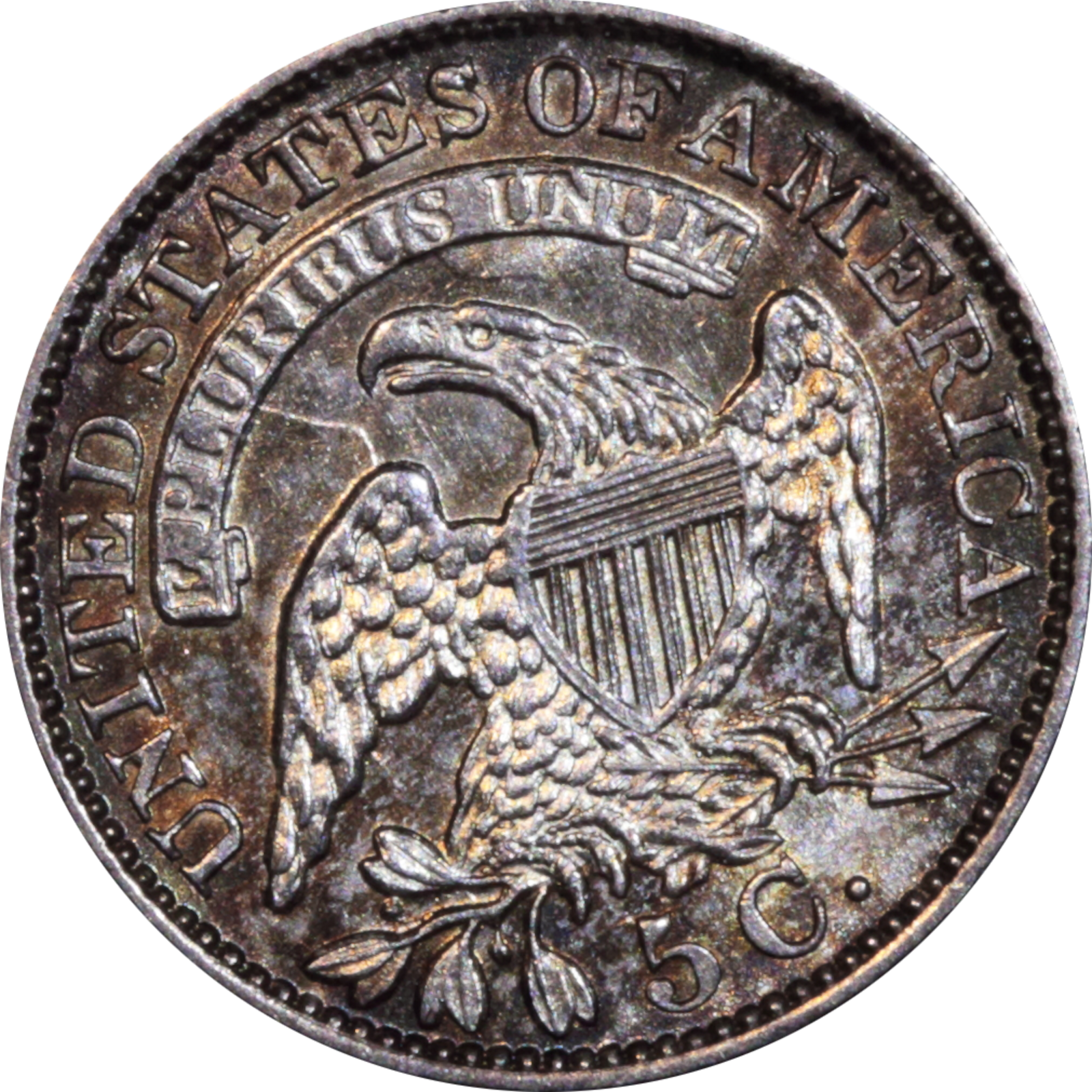 1831 LM-6 AU55 Raw EDT Reverse
