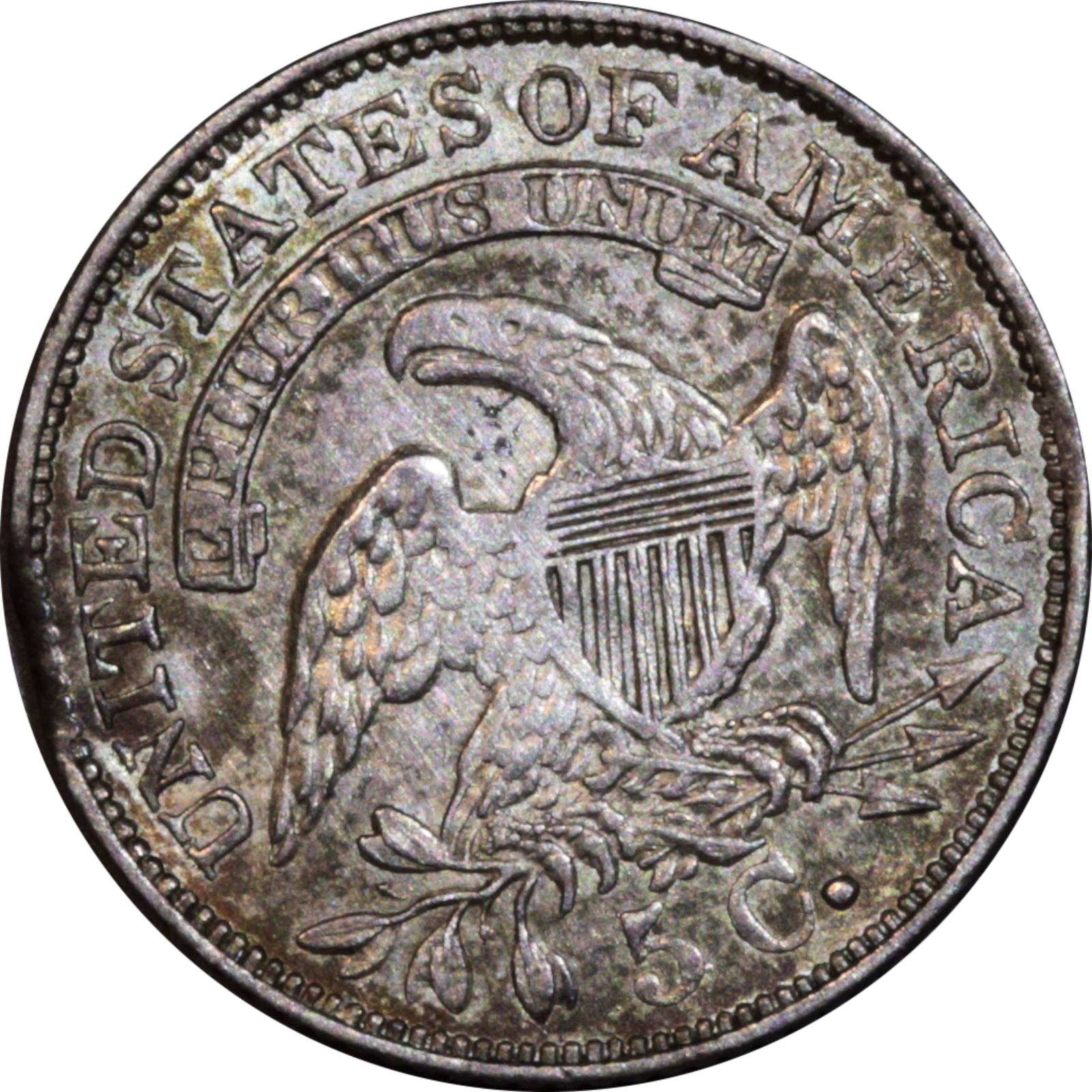 1832 LM-8.1 AU50 Raw Planchet Clip Reverse