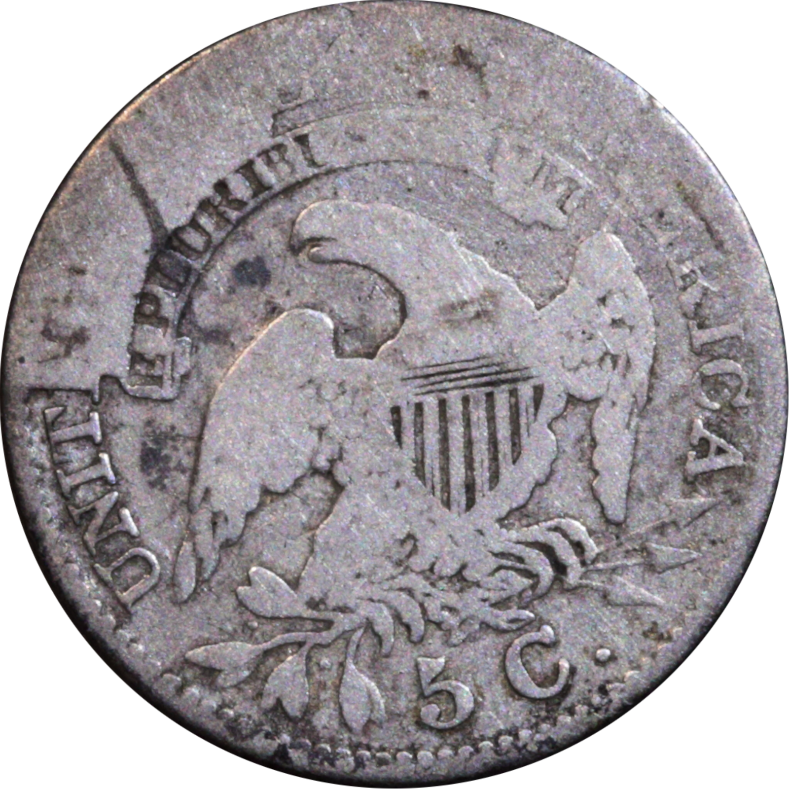 1833 LM-1 VF15 Raw VLDS Cud Reverse