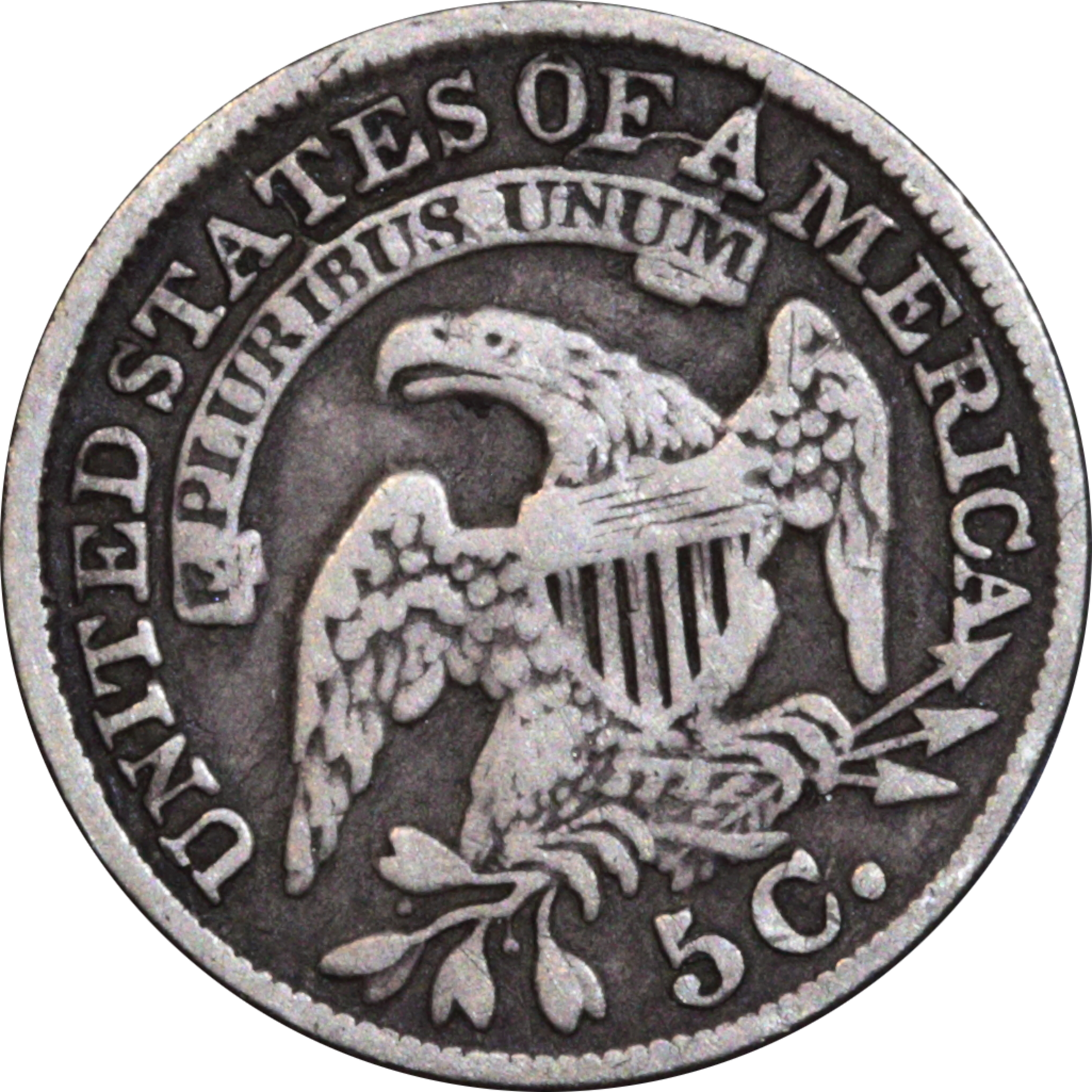 1833 LM-4.3 F15 Raw Cud Reverse