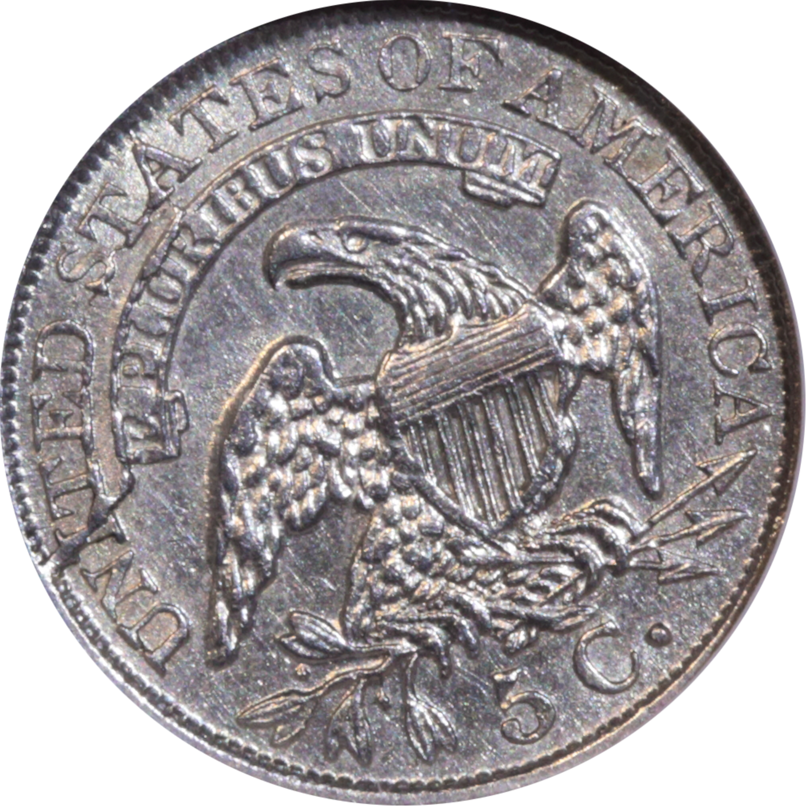 1833 LM-8 AU58 NGC Cud Reverse