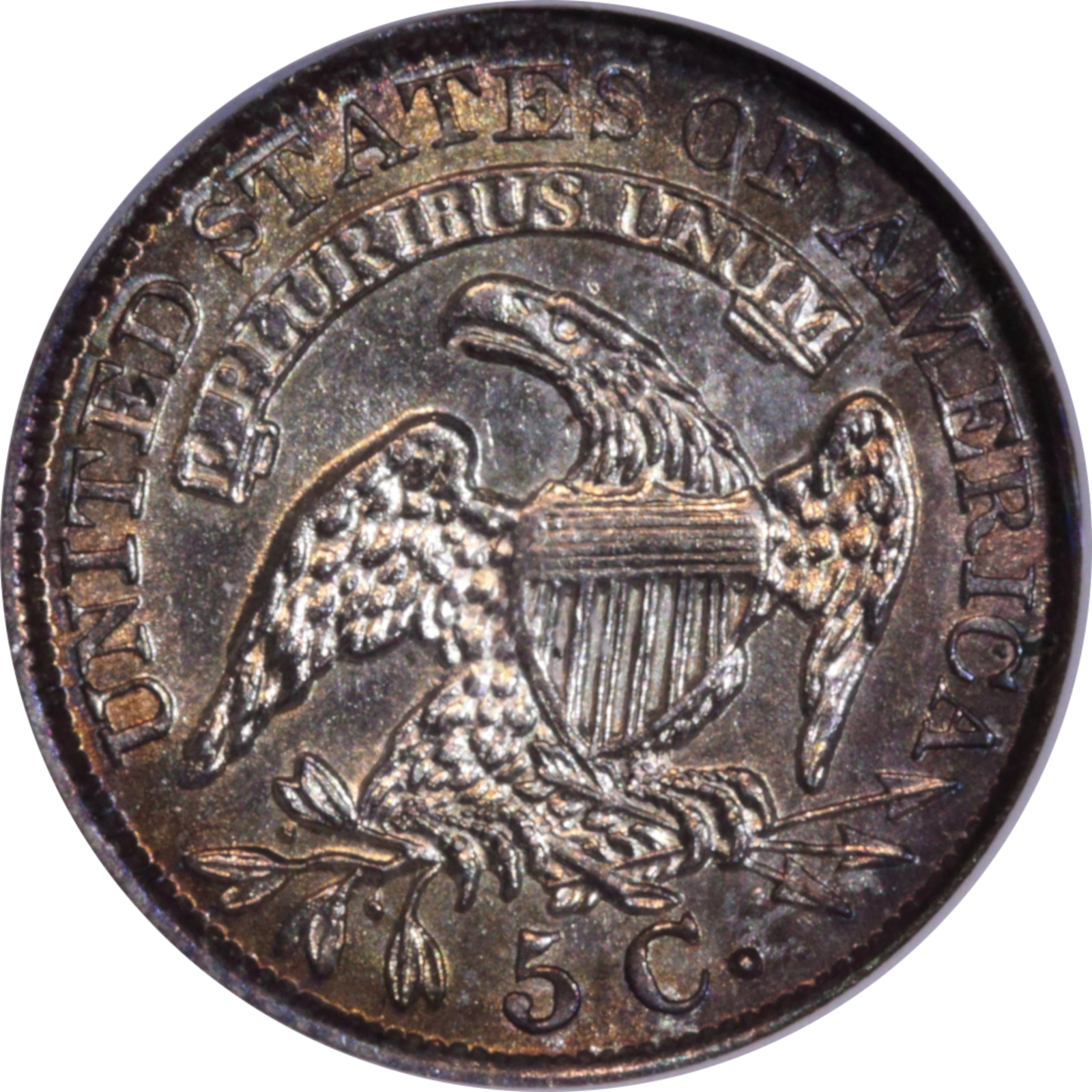 1833 LM-8 MS62 NGC Reverse