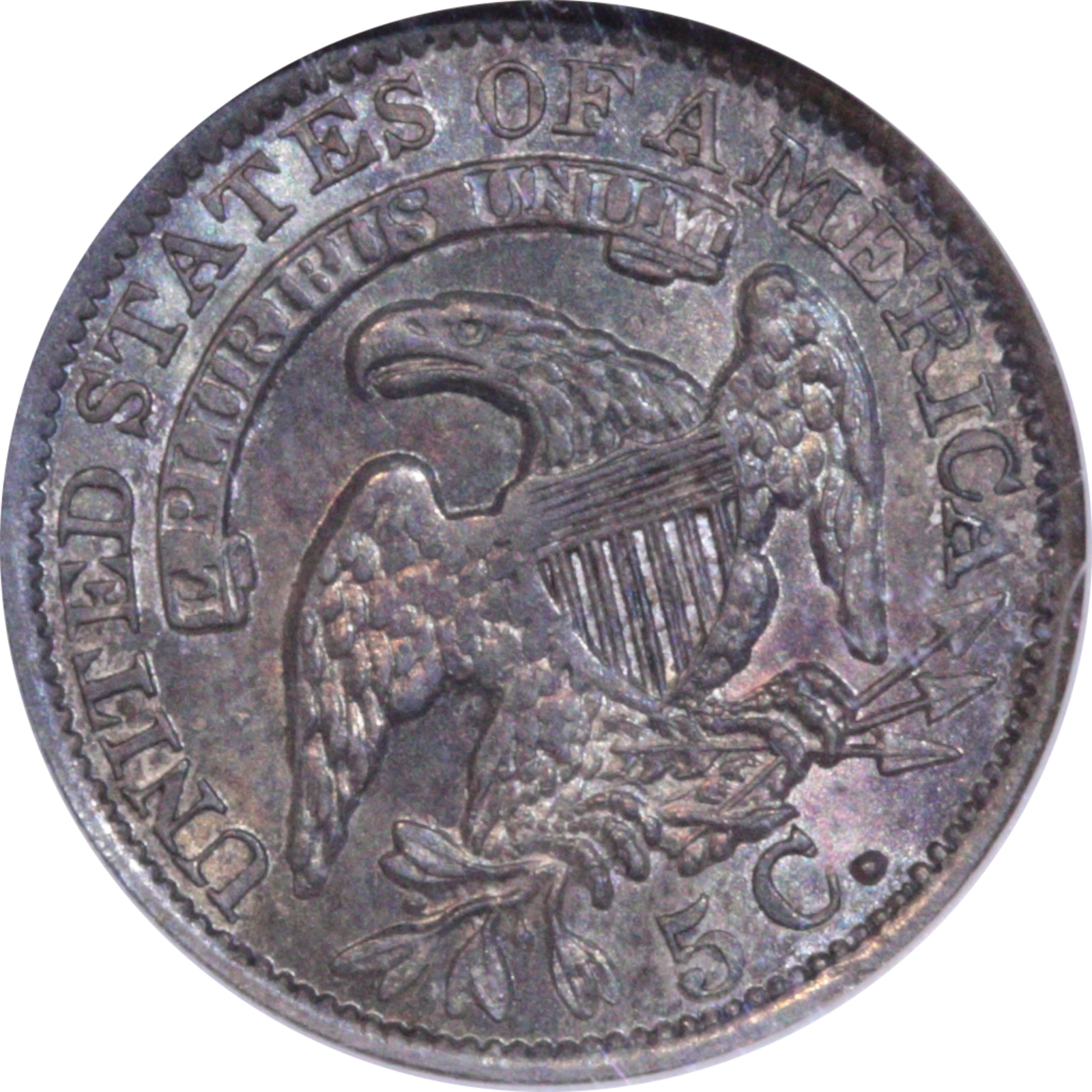 1835 LM-7 MS64 NGC Reverse