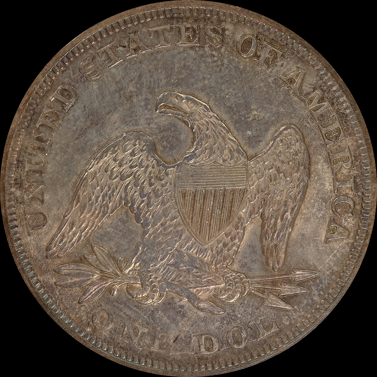 1856 MS62 Reverse